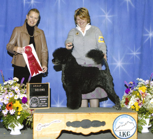 Judge Paula Nykiel